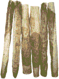 agrandir